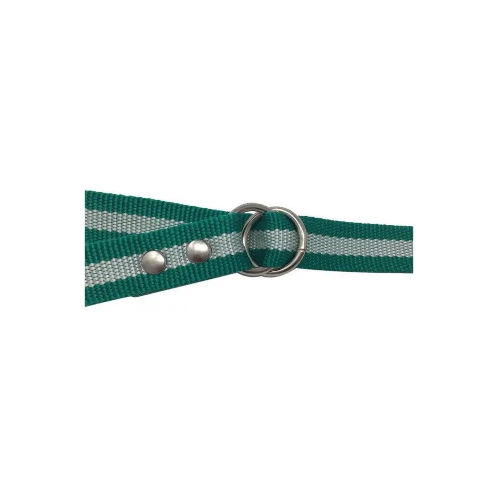 Comprar Correa nylon regulador asa Bandera Andalucía Bandera España La Flamenca de Borgoña Patricia Muñoz VOX