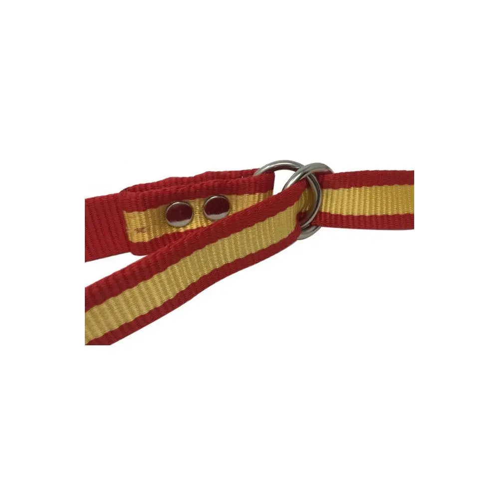Comprar Correa nylon regulador asa Bandera España Bandera España La Flamenca de Borgoña Patricia Muñoz VOX